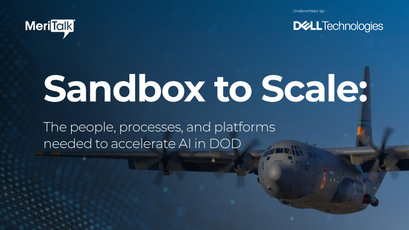 The People, Processes, and Platforms Needed to Accelerate AI Across the DOD